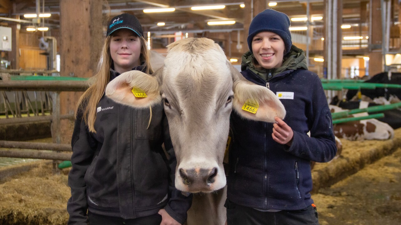 Landwirte/Landwirtinnen arbeiten viel mit Tieren.